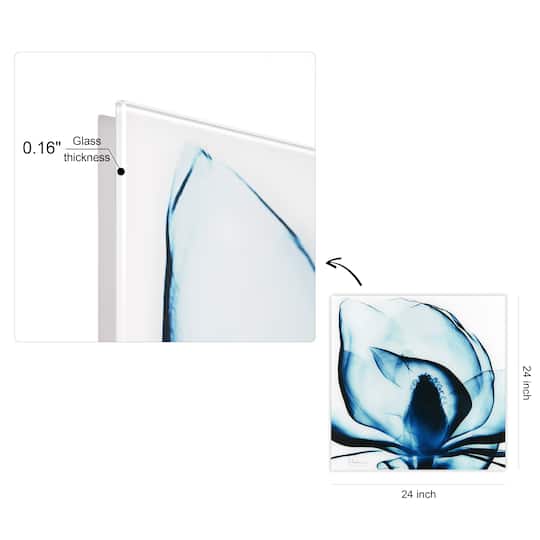 Empire Art Direct 24" x 24" Blue Magnolia X-Ray Frameless Free Floating Printed Tempered Glass Wall Art
